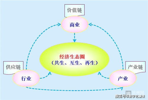 跨境电商供应链韧性重构，亚马逊揭示2025全球贸易新路径