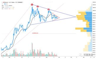 比特币价格波动背后的三大驱动力