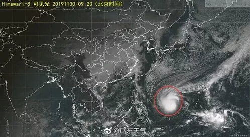 宏观风暴与监管阴云双重夹击