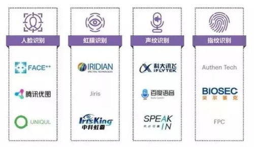 六大主流场景应用实测