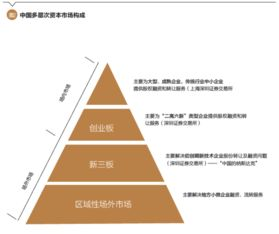平台战略抉择与精准市场定位