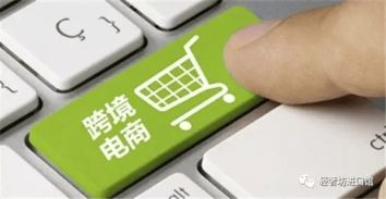 新疆跨境电商平台有哪些,新疆地区的跨境电商