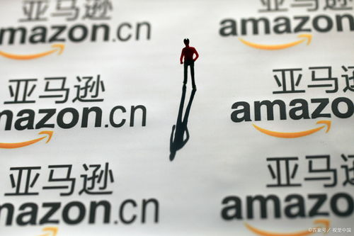 amazon怎么读 – 纳米AI,amazon chime怎么读