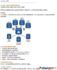 AliExpress平台概述与历史背景