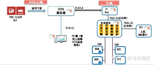 国内接码短信平台,国内接码短信平台收费