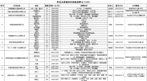 一、招聘岗位概览