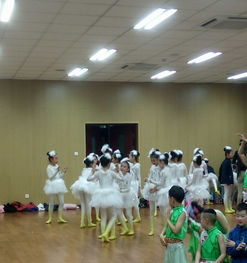 专业团队与丰富经验