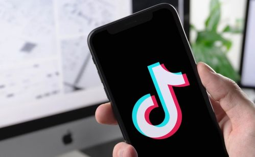 TikTok关注自动取消的现象特征分析