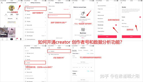 TikTok创作者基金详解：如何申请并赚取基础收入