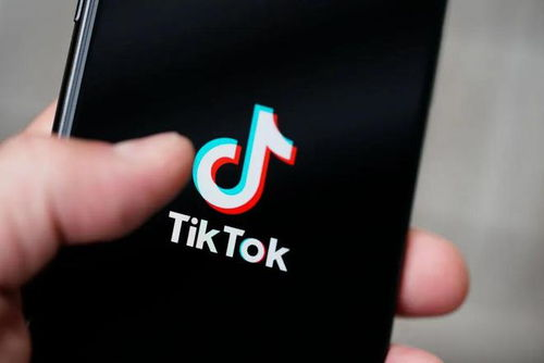 tiktok直播带货好做吗,tiktok直播带货前景