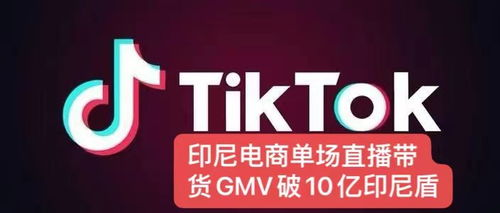 什么是TikTok货源