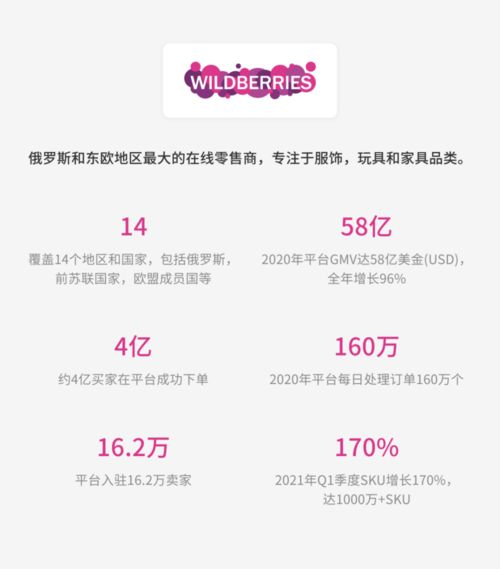 wildberries入驻条件,wildberries中国怎么入驻