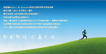 wildferns中国官网,wild life官网