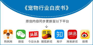 woolies官网,woolrich官网