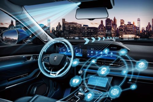 wildberries中国怎么入驻,wildberries入驻条件