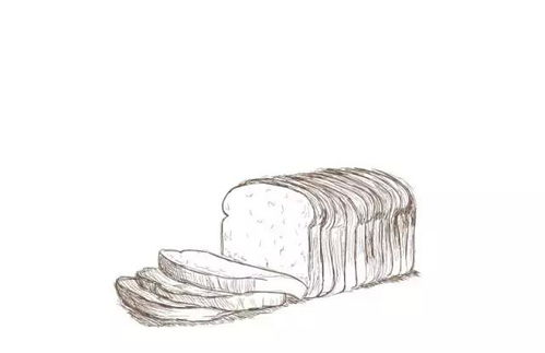 wild yeast怎么读,wild怎么读音发音英语怎么读