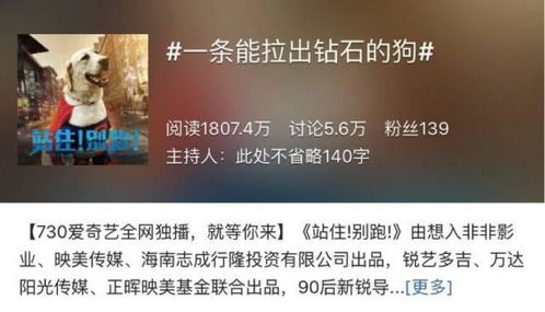 为什么电影宣发公关在广州至关重要？