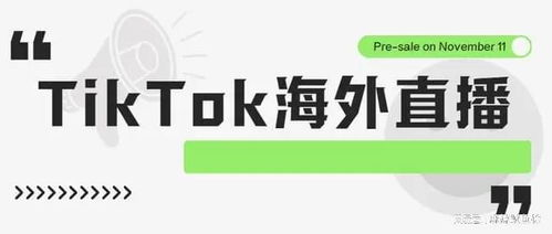 tiktok德国小店入驻,tiktok shop入驻