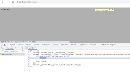 tiktok德国账号,tiktok国内登陆