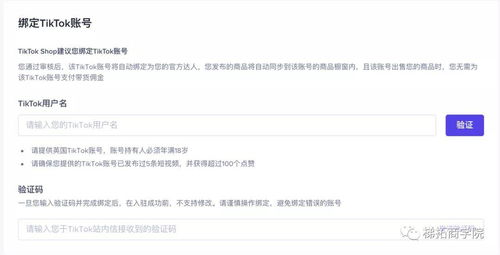 tiktok德国可以开小店吗,tiktok在德国