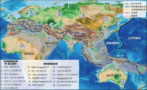 墨西哥tacos,墨西哥tacos介绍