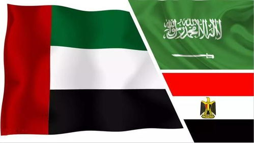 中东购物平台,中东购物app