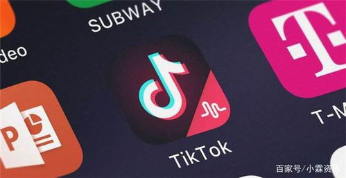 tiktok法国开通了吗?,tiktokfail