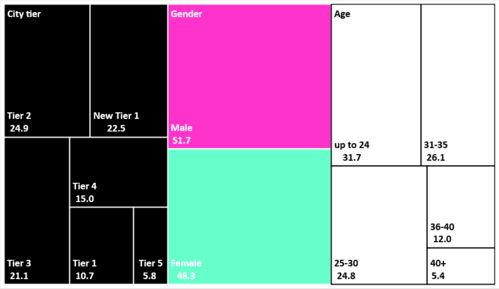 TikTok全球用户数据概览