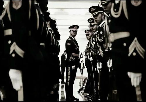 tiktok法国网友评论中国,外国评价tiktok