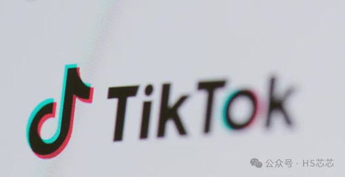 tiktok韩国用户量,tiktok各国用户数量统计