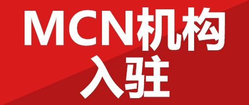 MCN机构在TikTok带货生态中的核心价值