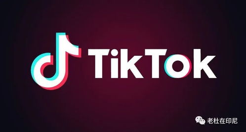 TikTok带货的核心优势与流量红利