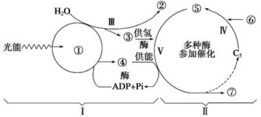 tiktok怎么注册2021,tiktok最新注册教程