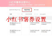 小红书国际版的名称来源与历史发展