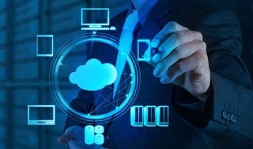 小红书国际版和国内版的区别在哪,小红书国际化