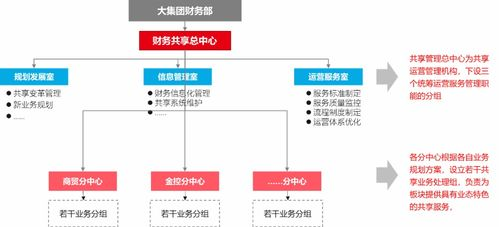 一、双版本核心差异与运营架构