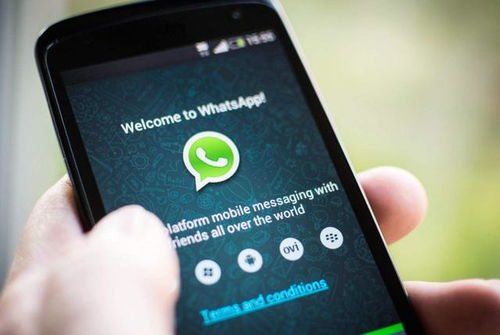 WhatsApp下载,whatsapp下载了打不开