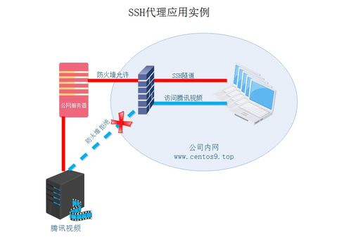 whatsapp下载后无法登录,whatsapp为什么无法登陆