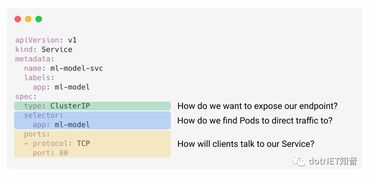 WhatsApp 2025 Download, Comprehensive Guide to Future Messaging Evolution