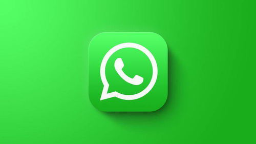 whatsapp2025安装包,安装whatsapp最新版