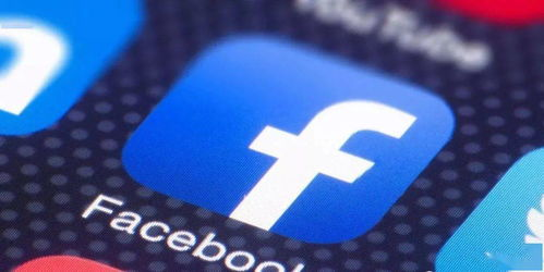 facebook推广计划,facebook成功推广案例