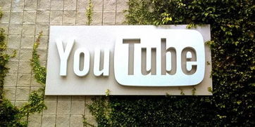 全球第一个YouTube视频,历史追溯-揭秘内容解析