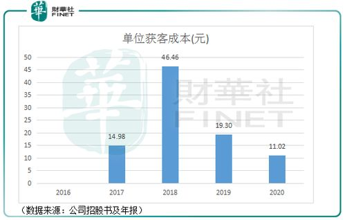 美多客平台的崛起背景与发展历程