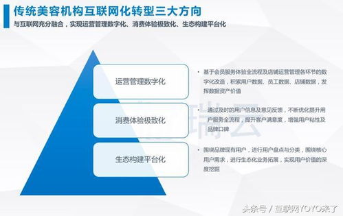 shine 电商,shine电商平台是哪国的
