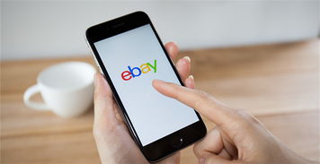 ebay跨境电商怎么样,ebay属于跨境电商交易平台吗