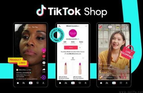 tiktok卖货门槛,tiktok货源