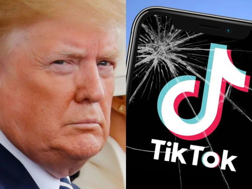 TikTok Business Account, Marketing Features – Setup and Strategy Guide