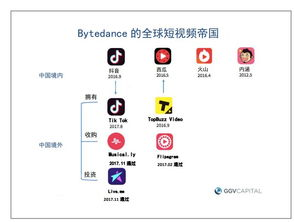 TikTok公司运营解析：从初创企业到文化现象