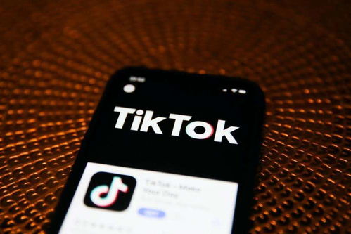 tiktok直播伴侣叫什么,tiktok直播功能在哪里