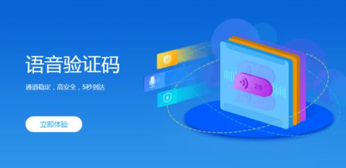 国外验证码接码,国外验证码接收平台 收费